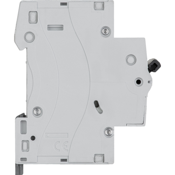 Купить Legrand RX3 Автоматический выключатель 2P 32А (C) 4,5kA 419700