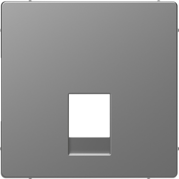 SE Merten D-Life Нержавеющая Сталь Накладка центральная для розетки 2-ной RJ11/RJ12 MTN4215-6036