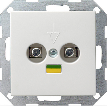 Gira S-55 Бел глянц Розетка 2-ая для выравнивания потенциалов с накладкой 040503