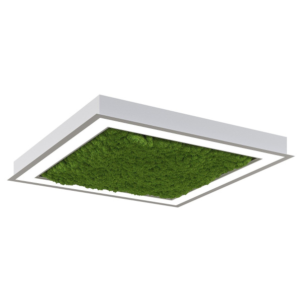 Svetholl Глоу мосс (Квадрат стандартный профиль) L500 Мощность: 50W ISGMK4-071065-050020050