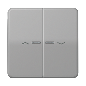 JUNG Клавиши для сдвоенной кнопки BCU серые CD595KO5PGR