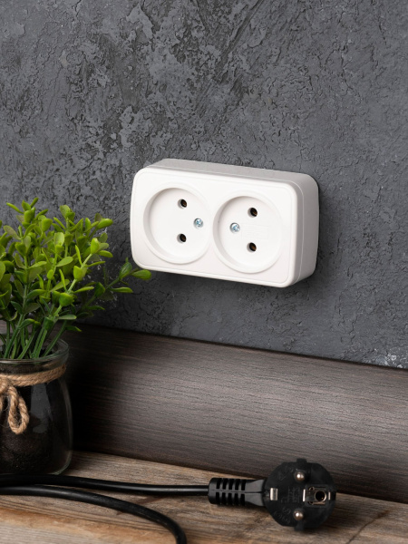 Купить EKF Basic Минск Белый Розетка 2-я, б/з, 10А, ОП