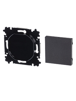 ABB EPJ Levit антрацит / дымчатый чёрный Заглушка, антрацит 2CHH050001A6063