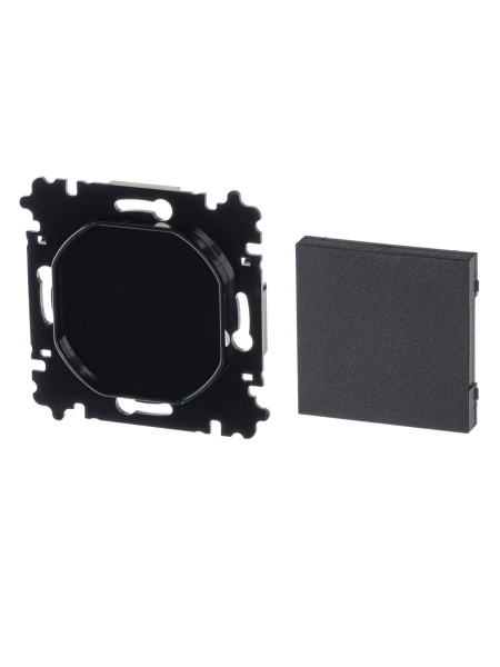 ABB EPJ Levit антрацит / дымчатый чёрный Заглушка, антрацит 2CHH050001A6063