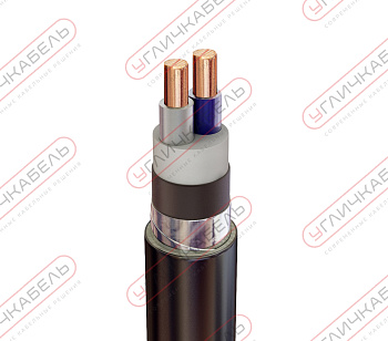 Кабель силовой ПвБШв 2х10 ок(N)-1 Угличкабель PLPV4120100110000000