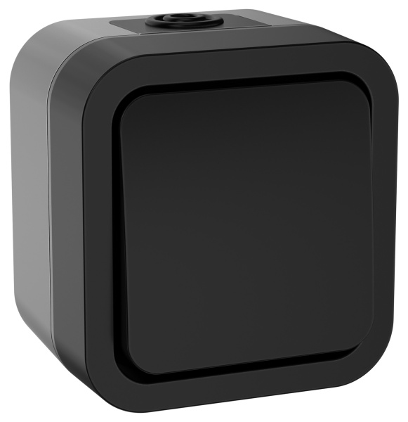 IEK TORS Выключ. двухполюсный однокл. 10А IP55 TS111 графит