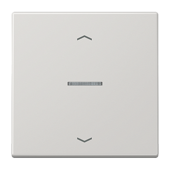 JUNG Клавиша для кнопки BCU LS990KO5PLG