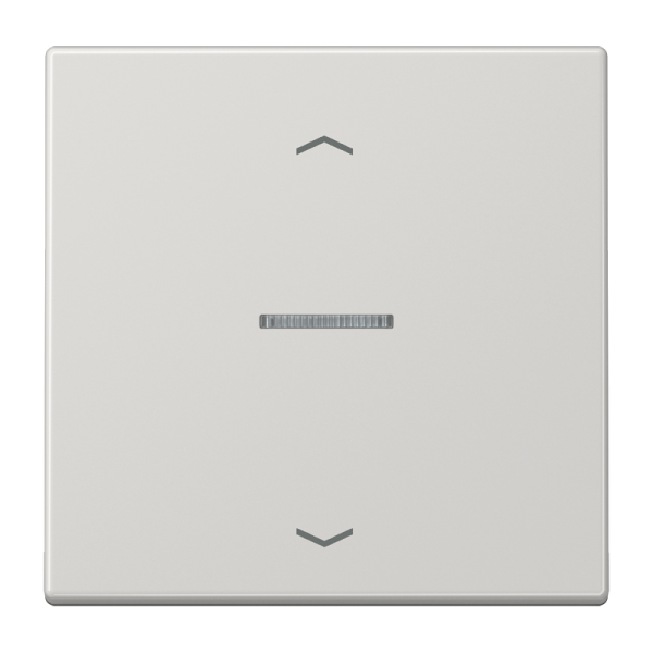 JUNG Клавиша для кнопки BCU LS990KO5PLG