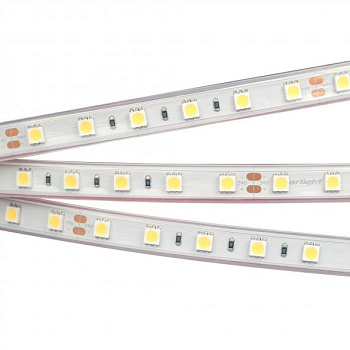 Arlight Светодиодная лента RTW 2-5000P 24V White6000 2x (5060, 300 LED, LUX) (14.4 Вт/м, IP66) 010357