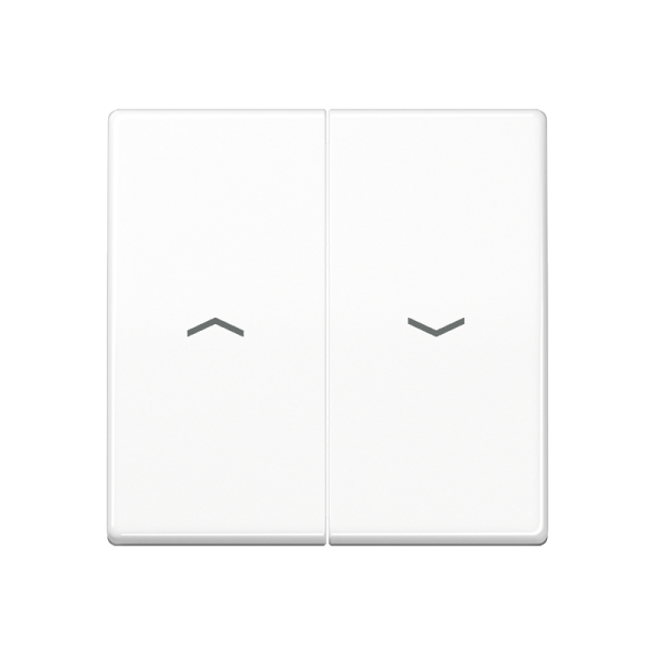 JUNG AS 500 Белая Клавиша 2-ая жалюзийная антибактериальная ABAS591-5PWW