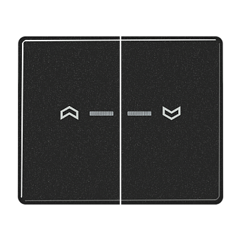 JUNG Клавиши для сдвоенной кнопки BCU черные SL595KO5PSW