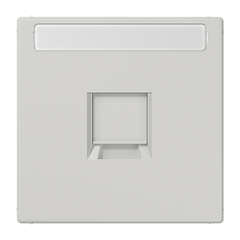 JUNG Плата (фиксация защёлкиванием) для одного модуля с полем для надписи термопласт светло-серый LS1969-1NAWELG