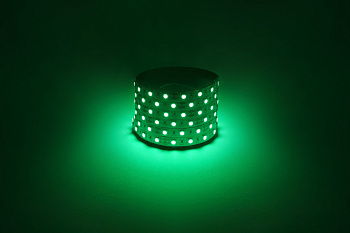 ЭРА Светодиодная лента LS5050 -14,4-60-12-G-IP20-1 year-5m зеленый 5м