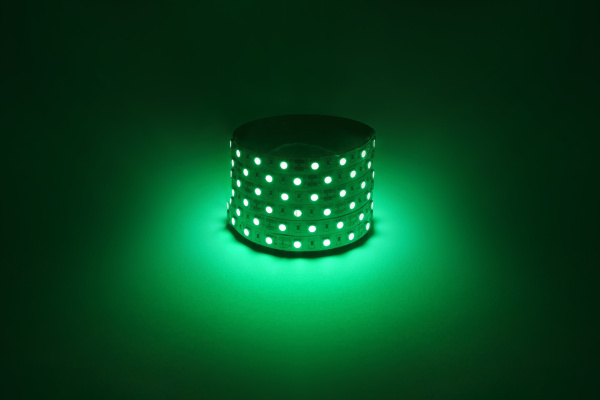 ЭРА Светодиодная лента LS5050 -14,4-60-12-G-IP20-1 year-5m зеленый 5м