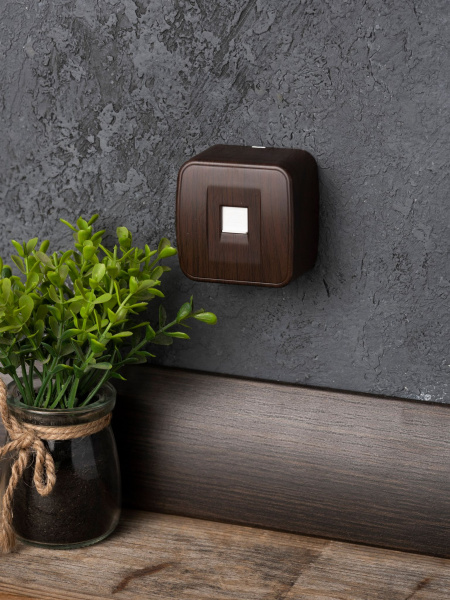 Купить EKF Basic Минск Темное дерево Розетка RJ-11, ОП