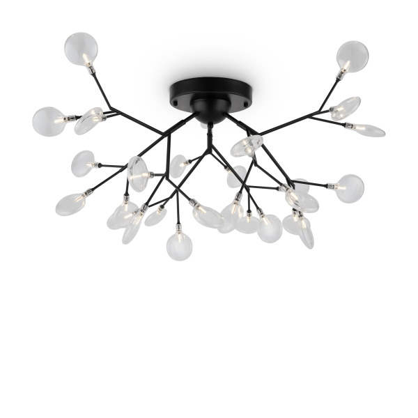 Freya Florencia Черный Потолочный светильник FR5049CL-27B