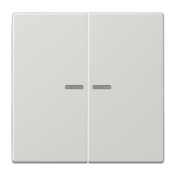 JUNG LS 990 Светло-серая Клавиша 2-ая с/п LS995KO5LG