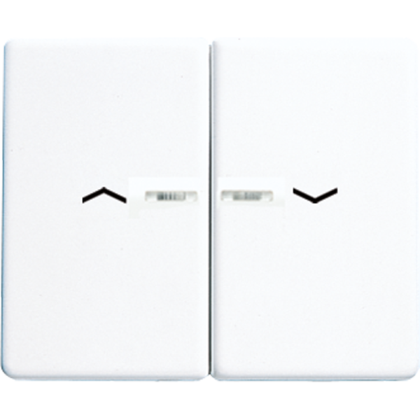 JUNG Клавиши для сдвоенной кнопки BCU белые SL595KO5PWW