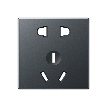 JUNG Накладка на розетку китайского стандарта A3521-5CNBFANMPL