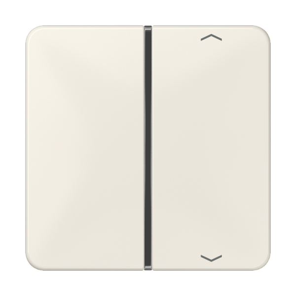 JUNG клавиша с символом для пульта KNX, слоновая кость, для серии CD CD401TSAP