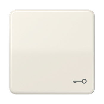 JUNG CD Бежевая Клавиша для 1-ая с символом КЛЮЧ ударопрочная CD590BFT