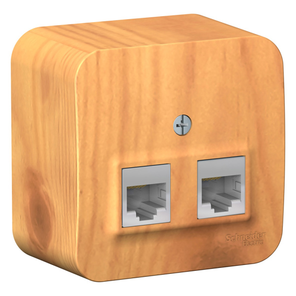 Systeme Electric Blanca наруж Ясень Розетка 2-ая компьютерная RJ45, кат.5E, изолир. пластина