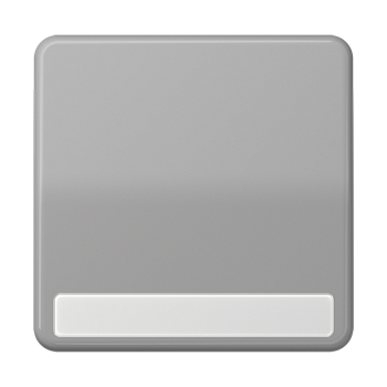 JUNG CD 500/CD plus Серая Клавиша 1-ая с полем для надписи CD590NAGR