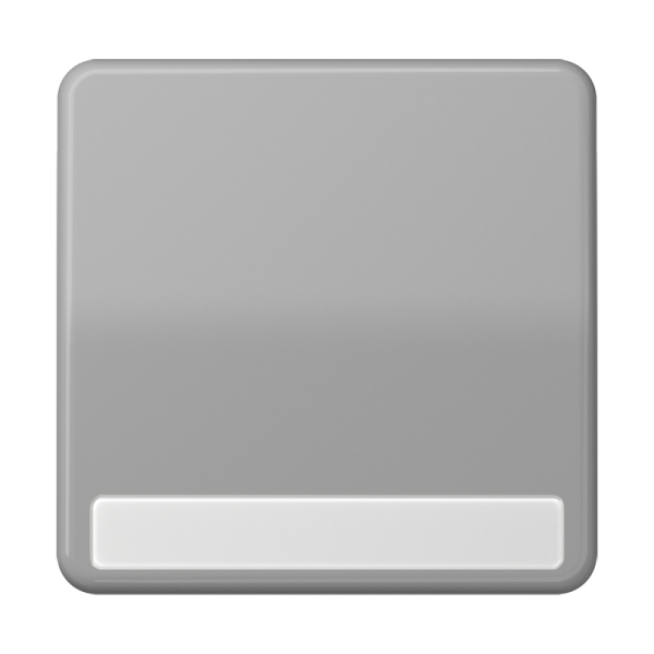 JUNG CD 500/CD plus Серая Клавиша 1-ая с полем для надписи CD590NAGR