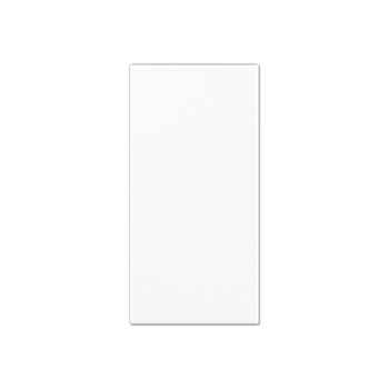 JUNG Белая Накладка в цвет клавиш A50NAWW