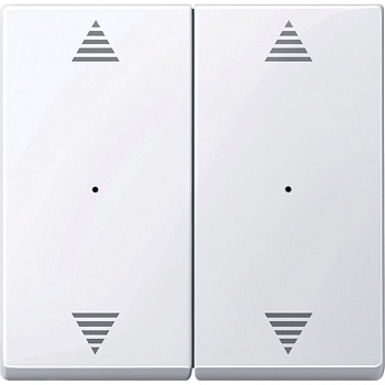 SE Merten KNX\EIB SM Актив Бел Клавиша для модуля 2-кнопочного выключателя, с символами ВВ/ВН, 1/0 (MTN619725)