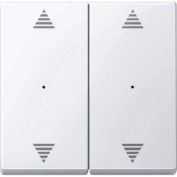 SE Merten KNX\EIB SM Актив Бел Клавиша для модуля 2-кнопочного выключателя, с символами ВВ/ВН, 1/0 (MTN619725)