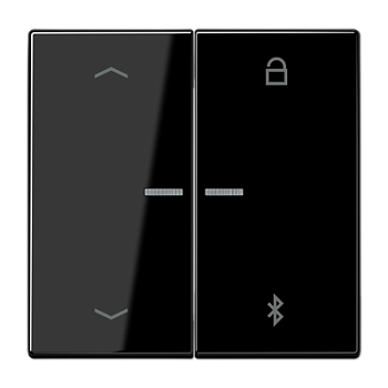 JUNG Таймер универсальный Bluetooth «стрелки», чёрный LS1751PBTSW