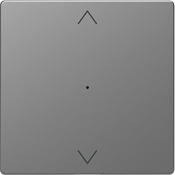 SE Merten D-Life Нержавеющая Сталь PlusLink Клавиша 1-ая с символами вх/вз MTN5215-6036