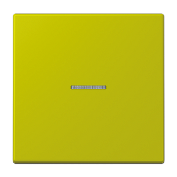 JUNG LS 990 Vert olive vif(4320F) Клавиша 1-ая с/п LC990KO54320F