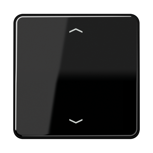 JUNG Клавиша для одинарной кнопки BCU черная CD590PSW