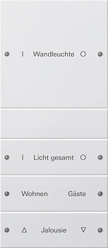 Gira Набор клавиш 4-местный (1+3),  ГРАВИРОВКА 220427