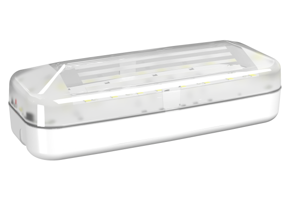 Купить Белый свет Аварийный светильник BS-JUNIOR-83-L1-INEXI3-MSS2 a15712