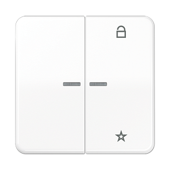 JUNG Центральная плата универсальная, белый CD1701WW