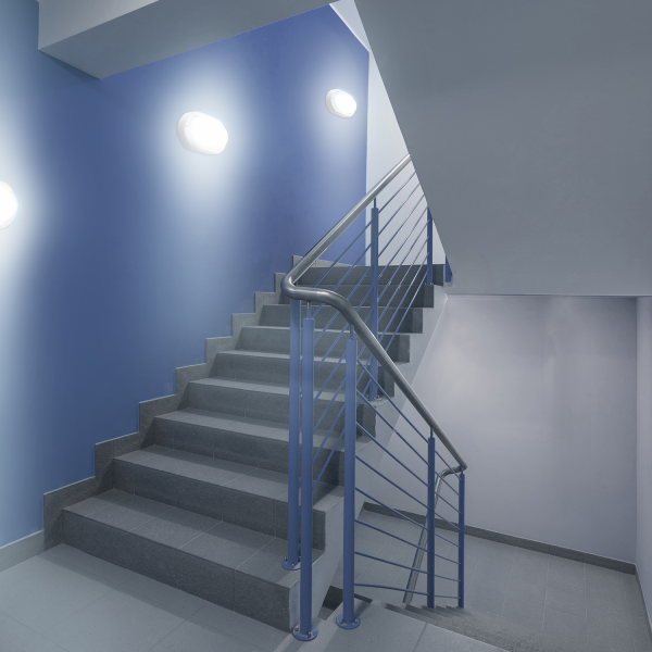 Купить Gauss Светильник ЖКХ Elementary овал 8W 700lm 6500K 160-260V IP65 160*90*46мм белый LED 161411308