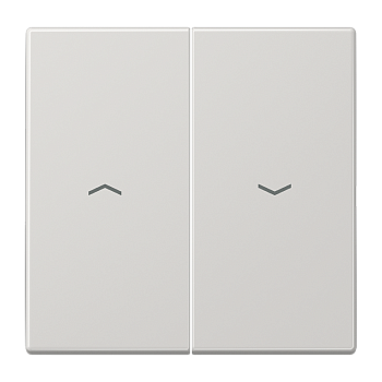 JUNG LS 990 Светло-серая Клавиша 2-ая жалюзийная LS995PLG