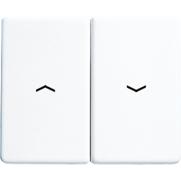 JUNG SL 500 Белая Клавиша 2-ая жалюзийная SL595PWW