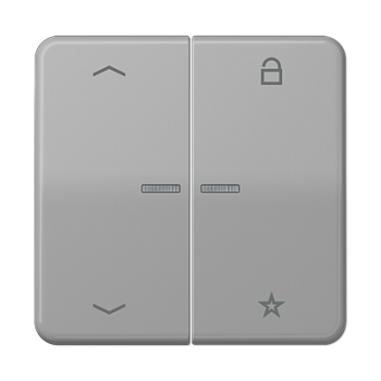 JUNG Центральная плата для вставок управления двигателями, серый CD1701PGR