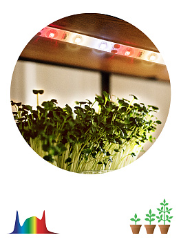 ЭРА FITO-Strip Light-Rа90-3m ЭРА FITO-Strip Light-Rа90-3m