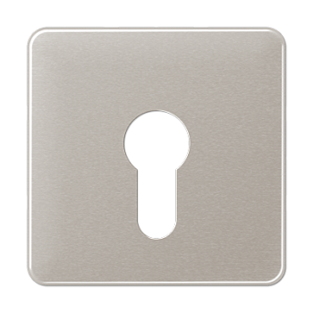 JUNG центральная плата для вставки с ключом, платина CD525PT