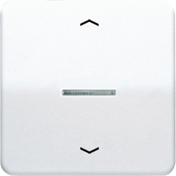 JUNG Клавиша для одинарной кнопки BCU белая CD590KO5PWW