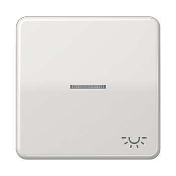 JUNG CD 500/CD plus Светло-серая Клавиша 1-ая с/п с символом ОСВЕЩЕНИЕ CD590KO5LLG