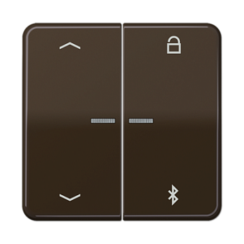 JUNG Таймер универсальный Bluetooth «стрелки», коричневый CD1751PBTBR