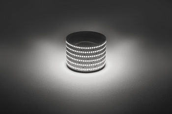 ЭРА Светодиодная лента LS2835 -19,2-240-12-4000K-IP20-1 year-5m дневной белый 5м