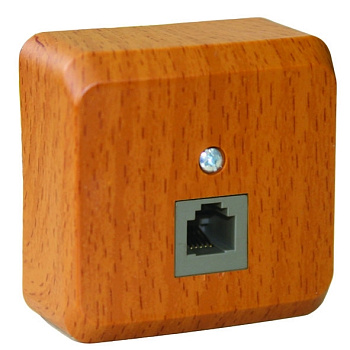 Systeme Electric Этюд наруж Дача Темный бук Розетка ТЛФ 1-ая