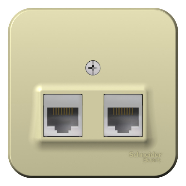 Купить Systeme Electric Blanca наруж Беж Розетка 2-ая компьютерная RJ45, кат.5E, изолир. пластина
